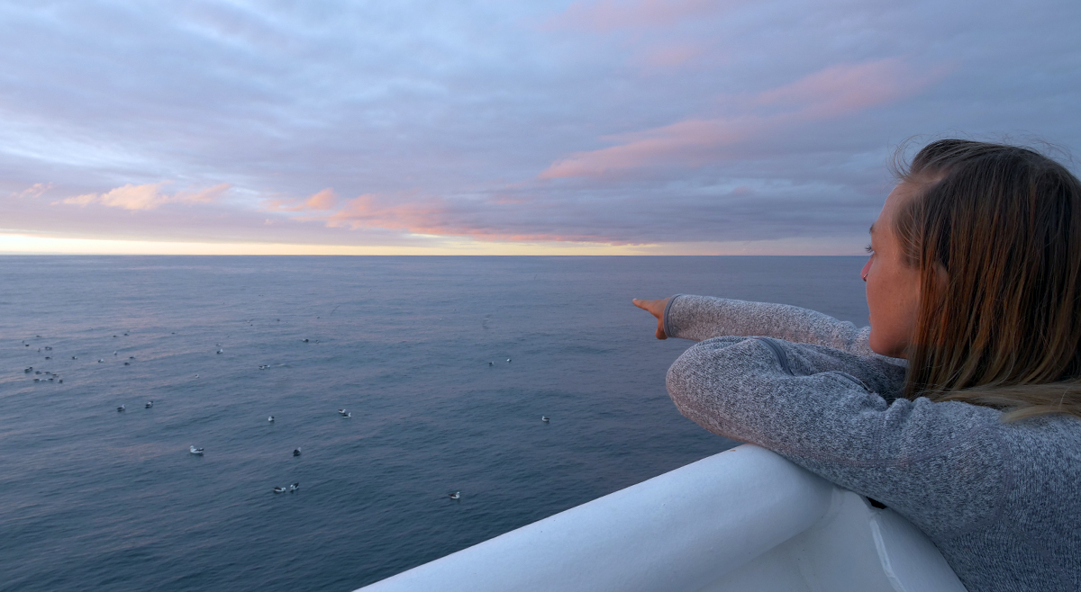 Alice Forrest and seabirds on the ocean