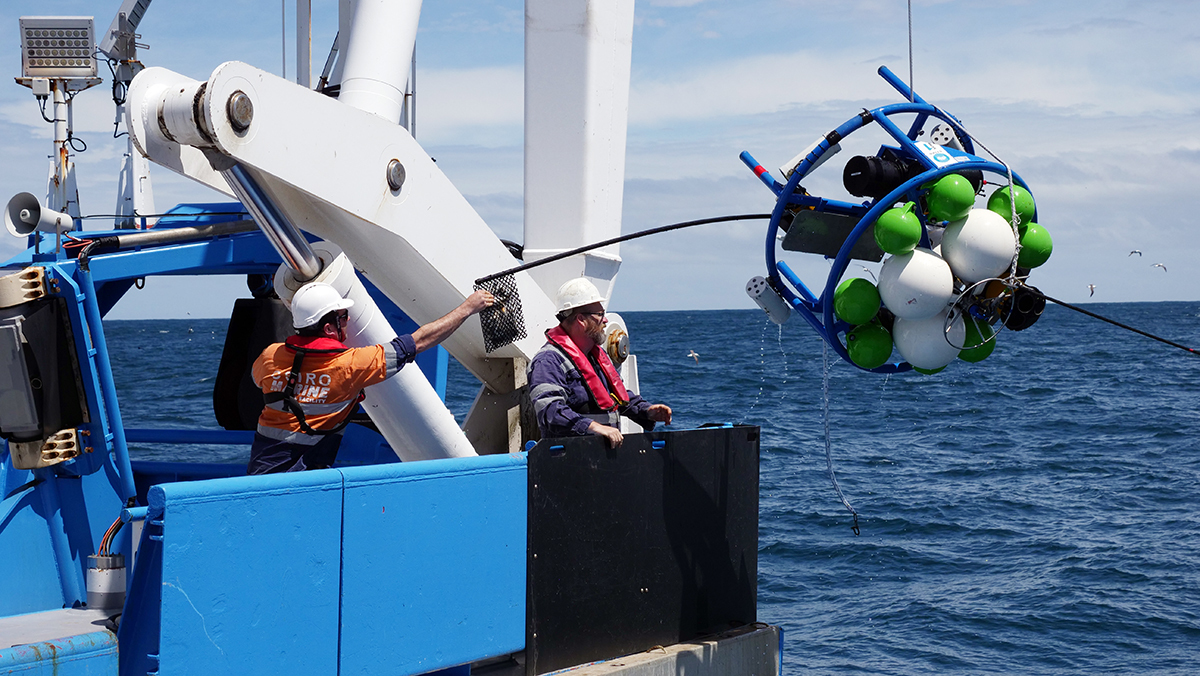 DeepBRUVS being retrieved on deck