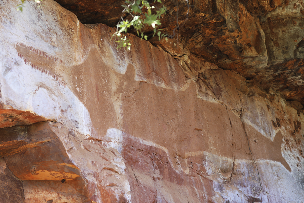 A sawfish depicted in rock art on Revolver Creek at the edge of the Tanami Desert