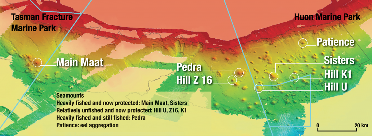 A map of marine parks and seamounts